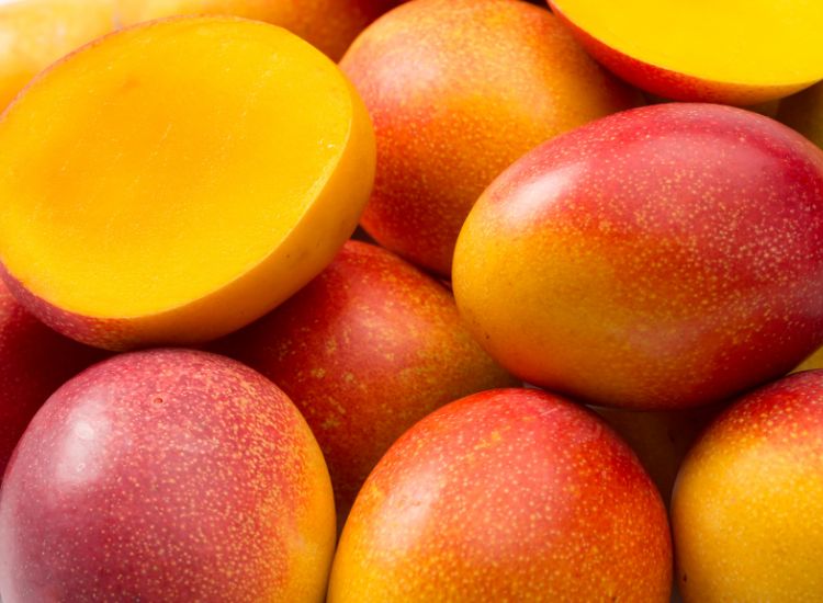 mangue